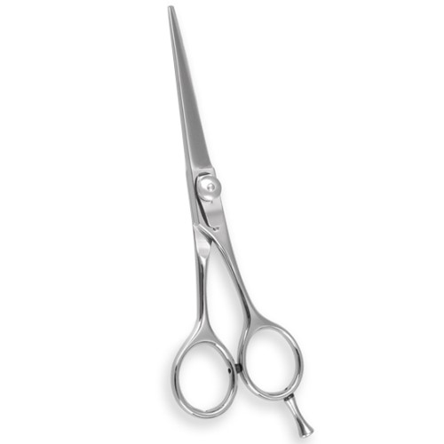 Professional Hair Cutting Scissors